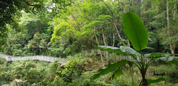 四十二份坪(湧泉)步道943396