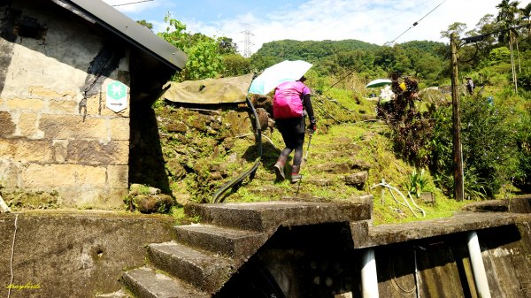 【淡蘭中路】翻山越嶺的茶商之道981245