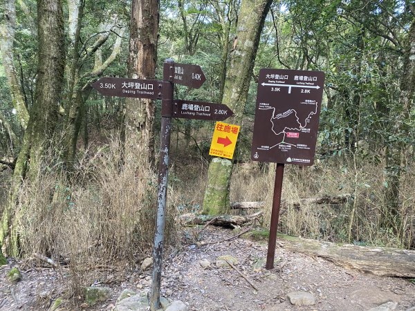 苗栗加里山1491241