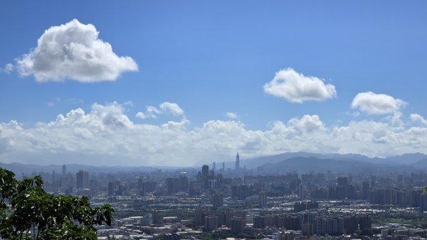 微笑山線大棟山系405高地＋百年大榕樹段，經典路線樹鶯縱走，串連青龍嶺、大同山等山峰封面