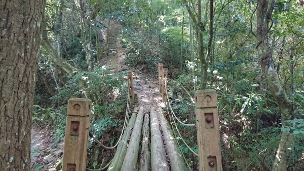 鳴鳳古道群連走1117920