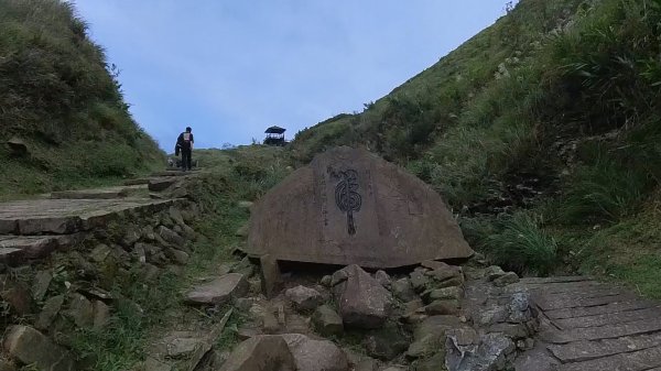 20251115_草嶺古道追芒趣2942948