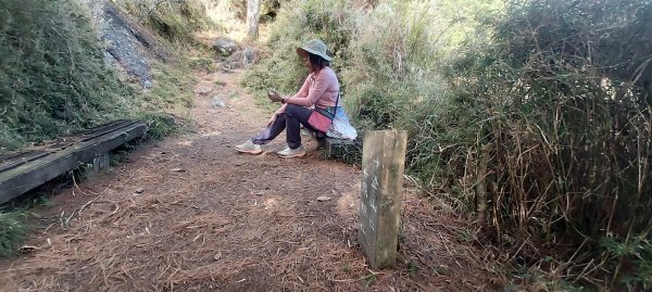 20250114東埔山；20250115二延平步道2693817