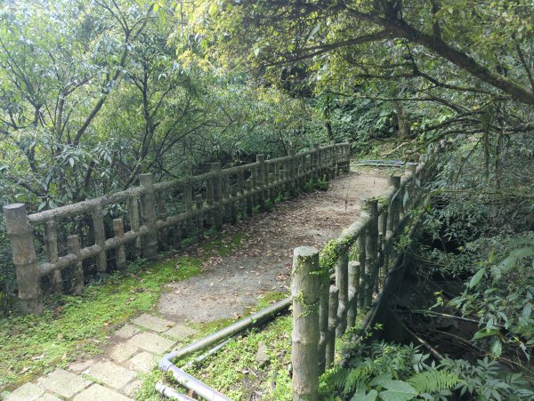 2026.03.14－微笑山線：【五分山系】3015442