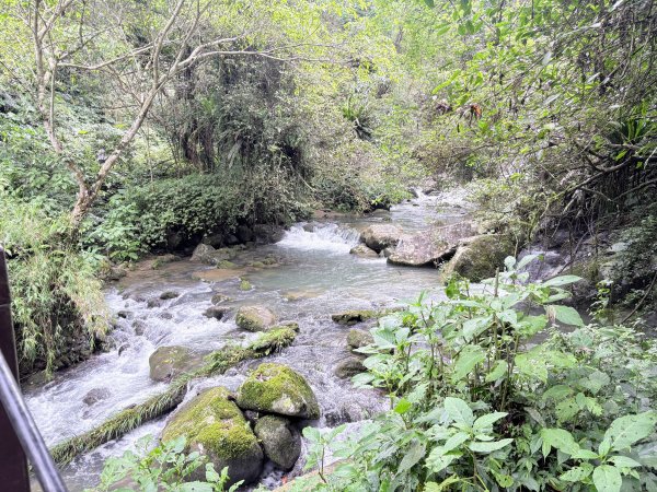 馬胎古道、南坪古道3080418