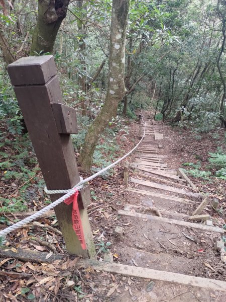 【新竹縣北埔鄉】五指山步道2833629