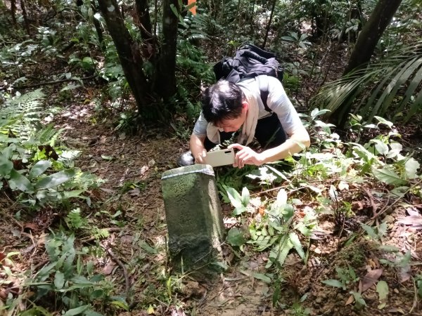 雙溪區雙坪一號橋+盤山坑山+土地公山+474峰+石硿子越嶺古道O型2936382