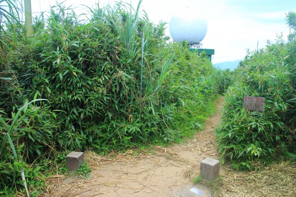 淡蘭古道之暖東舊道 五分山 202006281405541