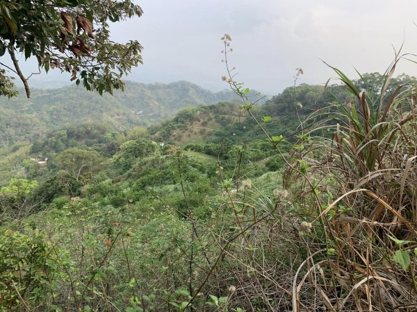 台中潭子聚興山環O林牛山一圈（小百岳）2126380