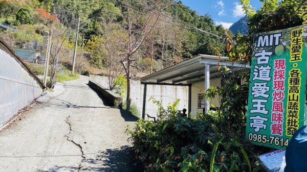 [南投信義八通關古道|雲龍瀑布清涼野餐1257128