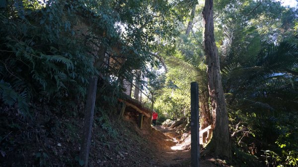 打鐵寮 草嶺山 石龜坑山 白石山連走1285587