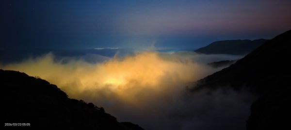 #大屯山 #日出 #雲海 #琉璃光 #橘咖啡 #吉野櫻 3/233020508