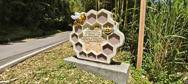 2026/05/31_白蘭溪古道O型3066893