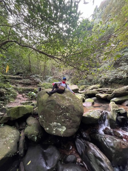 東勢大崙、東勢坑山、觀音湖山O走2986378