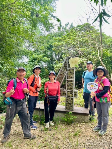 虎山岩區4條大嶺巷步道十二分埔山O繞逍遙輕鬆行3064039