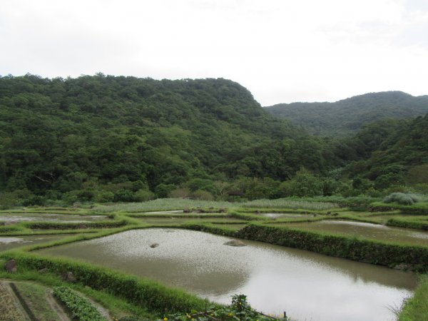 20201024-草嶺古道1142209