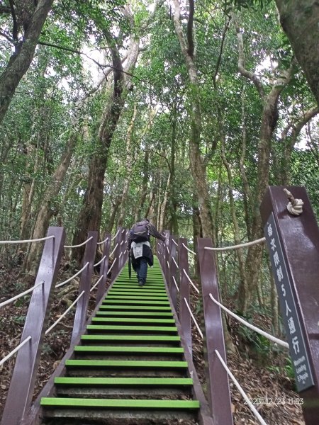 四訪苗栗的花果山-小百岳#037馬那邦山、雪霸國家公園管理處【小百岳集起來、苗栗-臺灣百大必訪步道】2394334