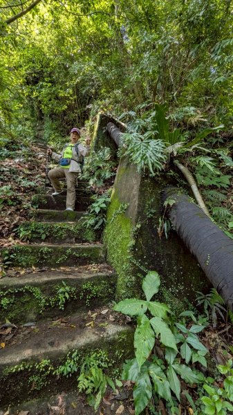 114.04.27草山觀瀑吊橋-紫明溪步道之旅2771772