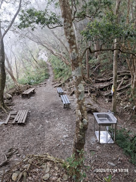 2025.01.24~26 北大武山 三天兩夜〈雲海、夕陽、檜木、鐵杉、藍天...〉2700330