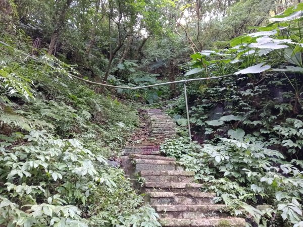 汐止區茄苳越嶺古道+上鹿窟崙山+九層坪山+四分尾山+大尖山8字走2981535