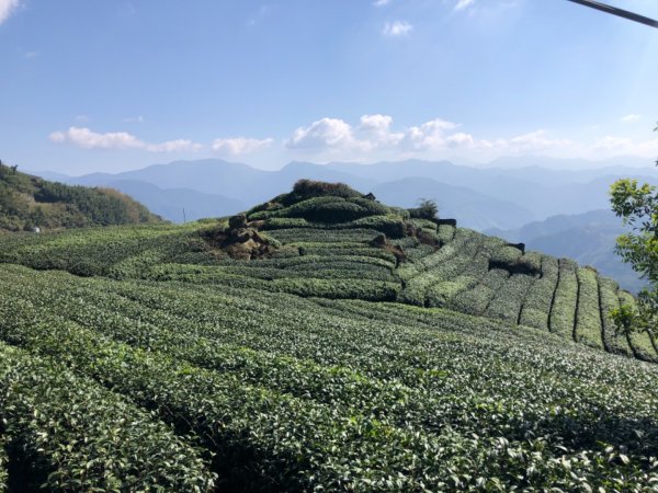 嘉義縣番路鄉二延平山1965560