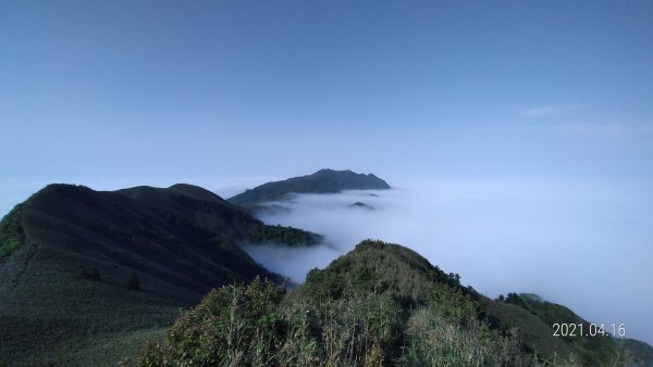 陽明山包場再見雲海04161351246