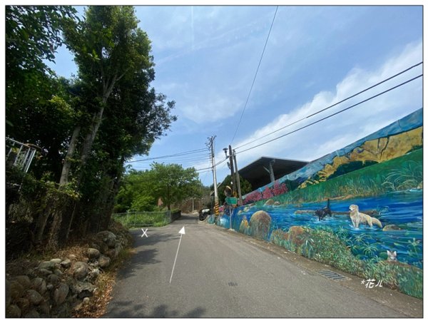 三義山、慈濟山、大坪山 連走桐花之旅3043844