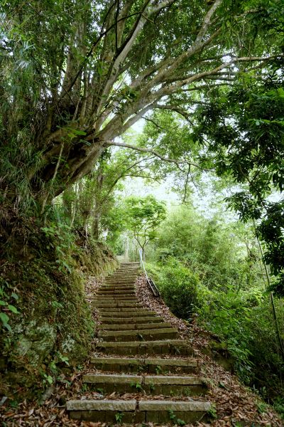 劍潭古道314083