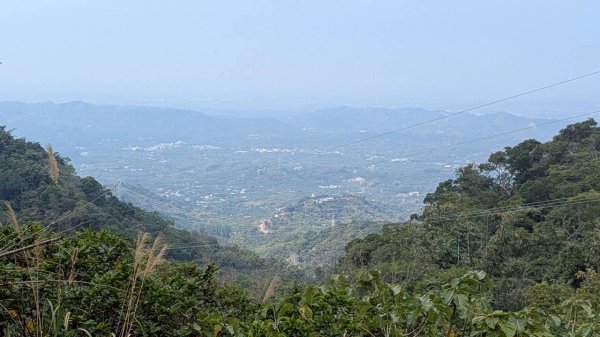 崁頭山步道3002474