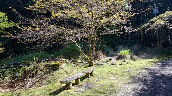 榛山景觀平台2918094
