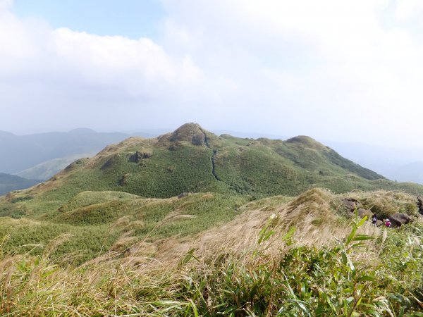 20181027_七星山-冷水坑-擎天崗485196