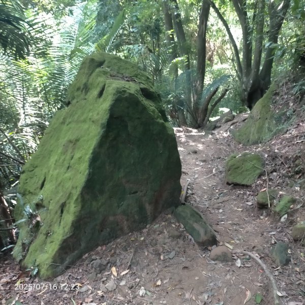 皮皮：六寮古道+獅山古道2838682