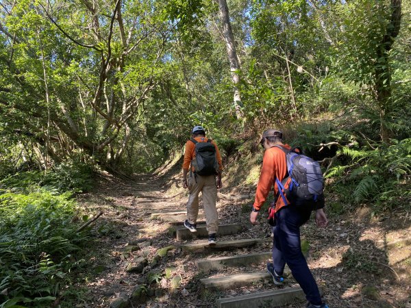 《銀河洞越嶺到貓空｜冬日健行 4 5 公里秘境步道｜親子也適合的台北近郊路線》2971033
