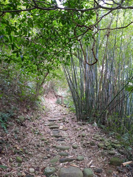 石光古道-面埔頂山-聖母洞O型808531