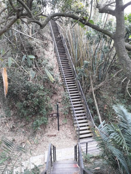 雲林林內龍過脈森林步道20190323550608