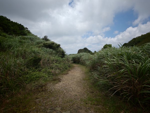 [淡蘭古道] 2026_0531 北路第一段_燦光寮古道(中)-陡坡3070889