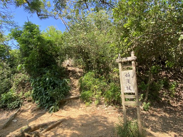 柴山，一年四季3085766