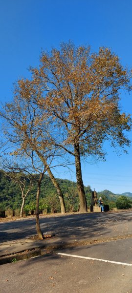 汐止拱北殿-新山夢湖-五指山-柯子林山1237749