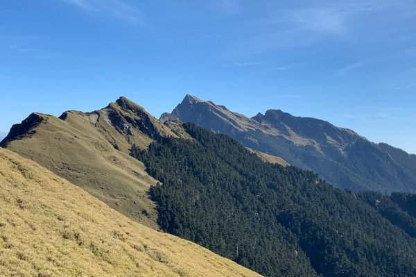 奇幻之旅~屏風上奇萊563787