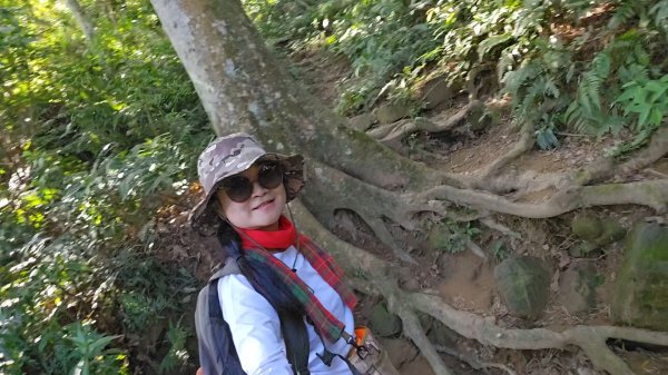 20251216太平山石門山小粗坑山O型+蕃薯藤TINA廚房2972549