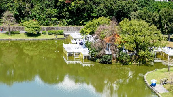 《蝶戀花。酸藤一生》2723355