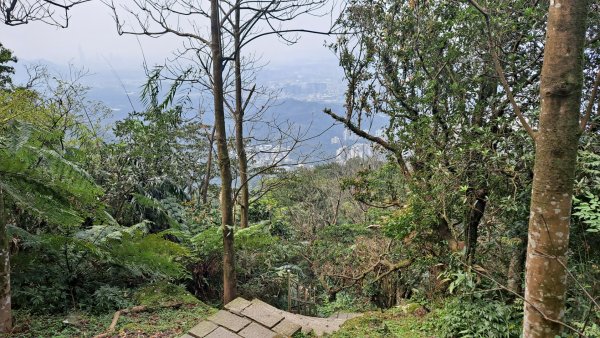 20240308汐止大尖山步道-四分尾山-耳空龜山2448626