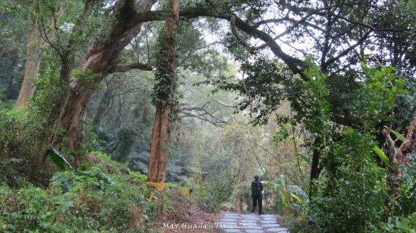《苗栗》台鐵舊山線｜三義勝興鐵道覓境及挑柴古道O繞202501192693548