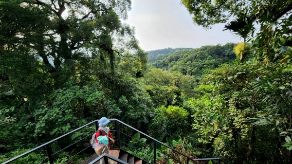 南投松柏坑山，登廟步道，賞茶步道，七星陣地公園，日月潭，彰化石牌坑古道1804687