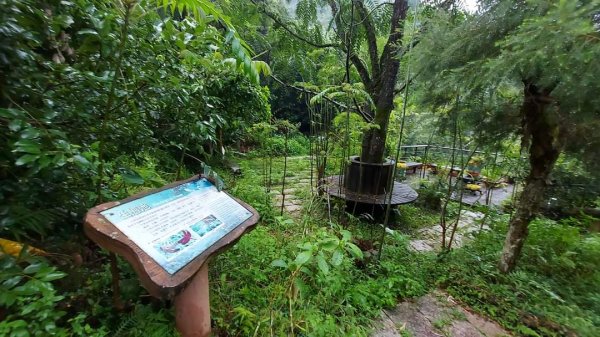 小百岳NO.14 深坑土庫岳。更寮古道 山豬窟尖，小南港山，南港山水綠生態公園2257364
