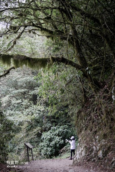 特富野古道1407547