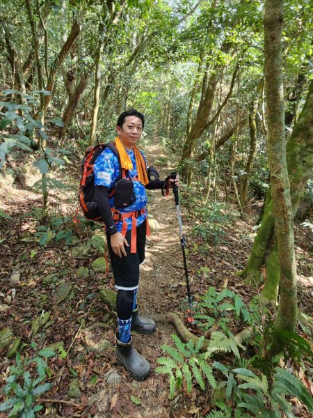 小百岳集起來-鳴海山2183269