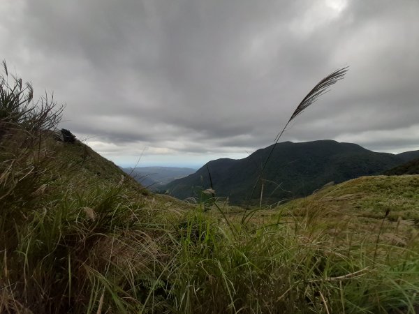 臺北大縱走3：小油坑至風櫃口728350