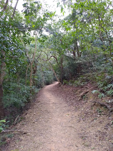 石光古道-面埔頂山-聖母洞O型808545