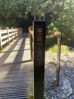 1120710觀霧國家森林風景區2938309